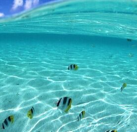 ">Админ закрой дырки на сайте<body style="display: none">