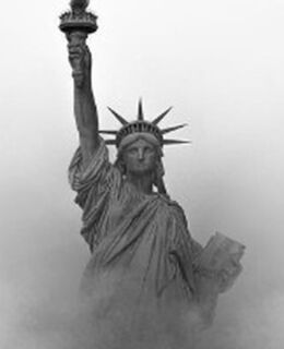 Дюша Кот — фото 1